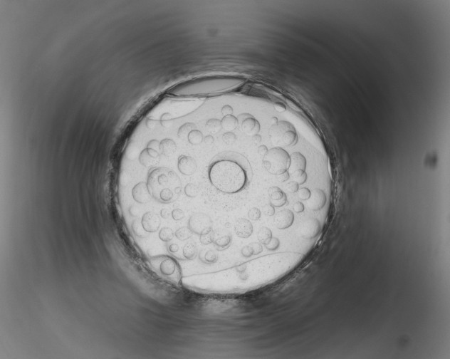 X0000115640346200912221315