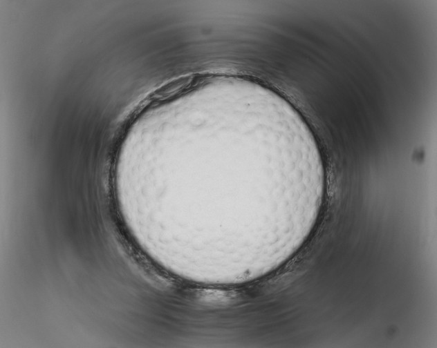 X0000115640347200912221315