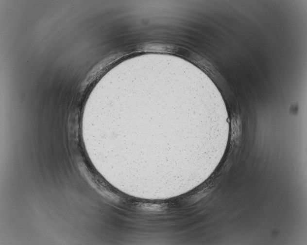 X0000115640349200912221315