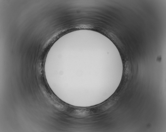 X0000115640351200912221315
