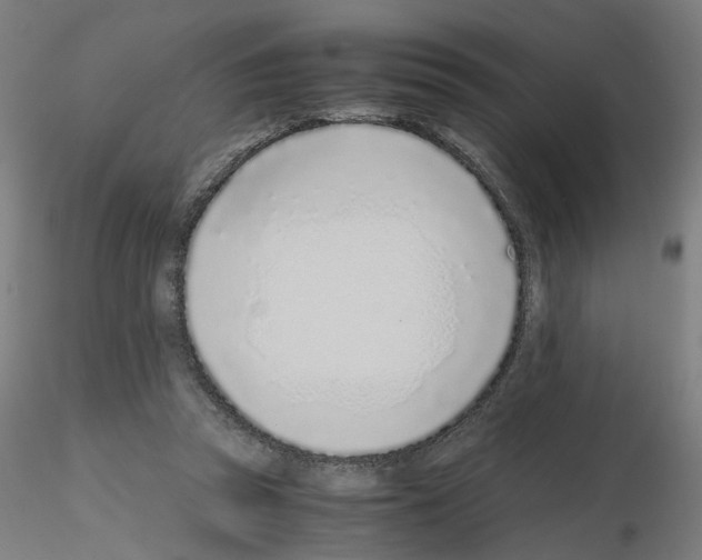 X0000115640353200912221315