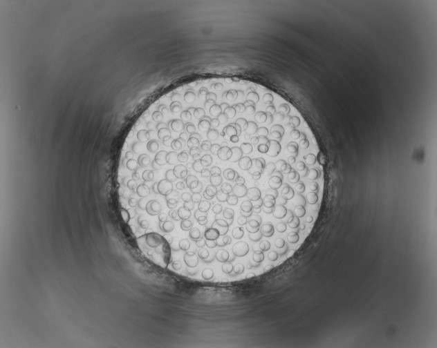 X0000115640354200912221315