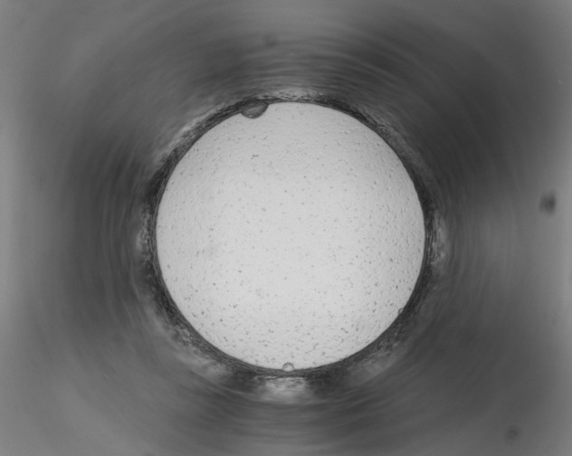 X0000115640355200912221315