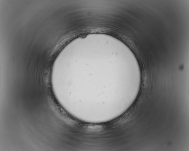 X0000115640357200912221315