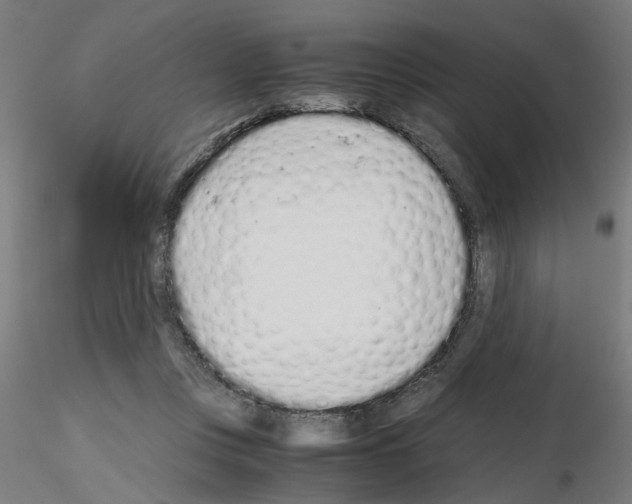 X0000115640359200912221315
