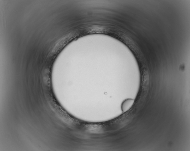 X0000115640361200912221315