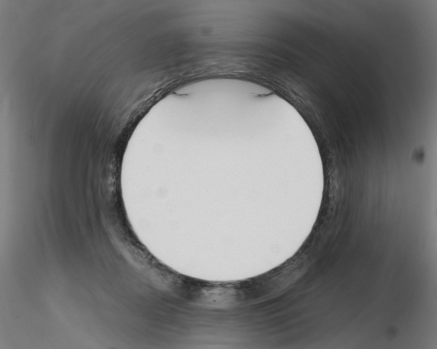 X0000115640362200912221315