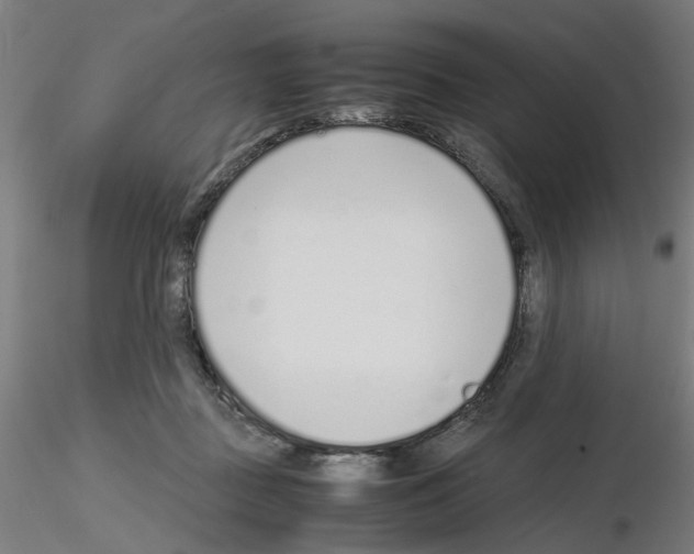 X0000115640363200912221315