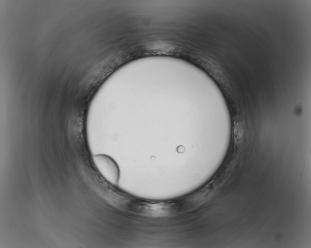 X0000115640365200912221315