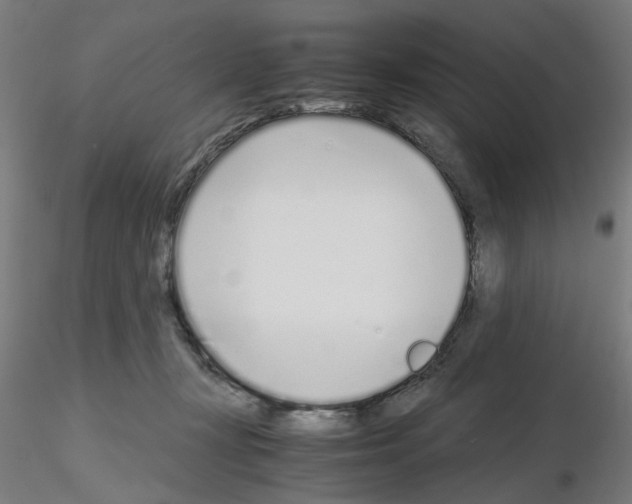 X0000115640367200912221315