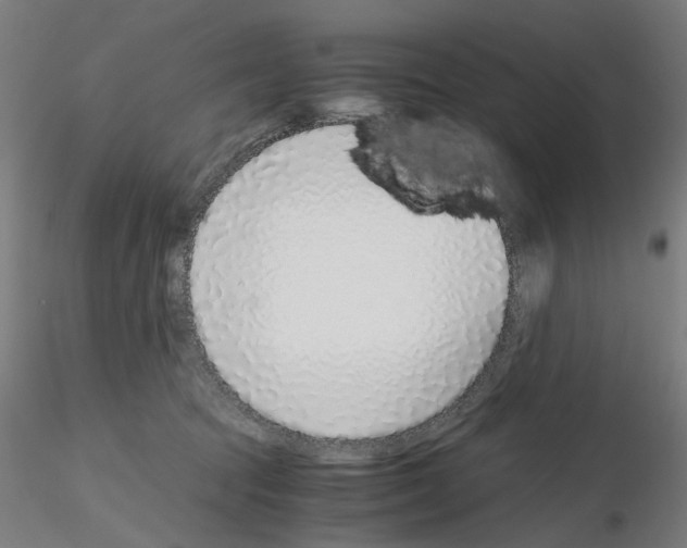 X0000115640369200912221315