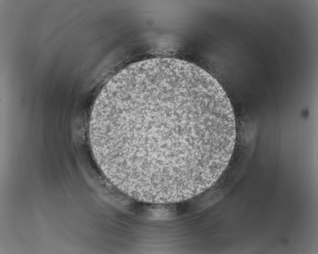 X0000115640370200912221315