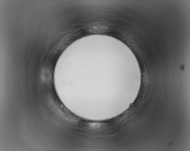 X0000115640371200912221315