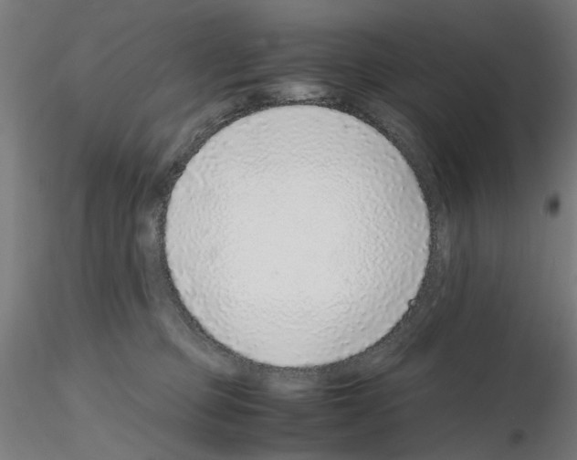 X0000115640373200912221315