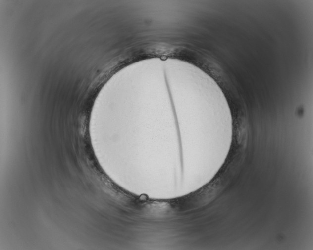 X0000115640374200912221315