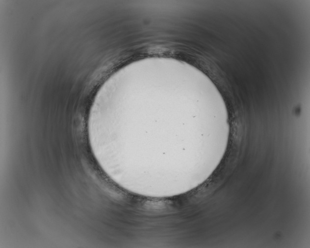 X0000115640375200912221315