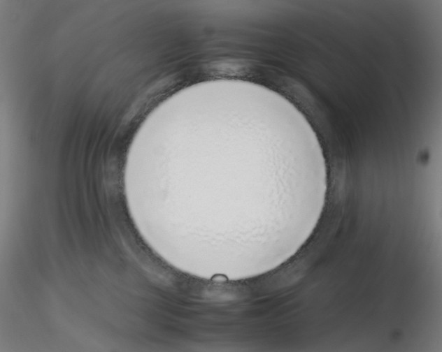 X0000115640377200912221315