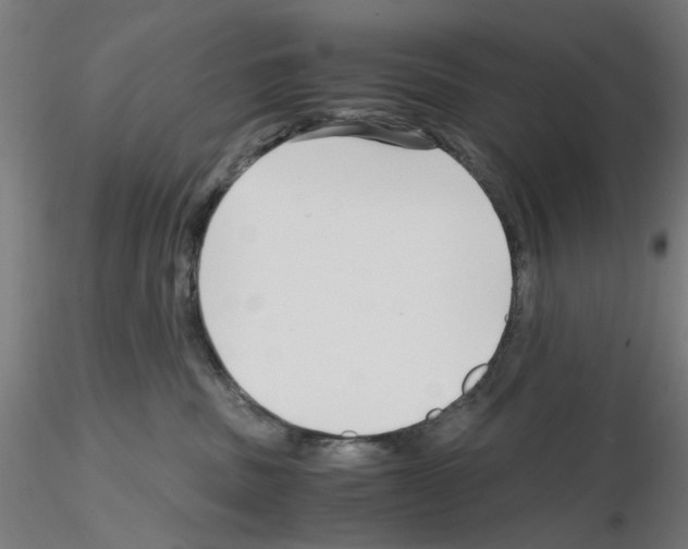 X0000115640379200912221315