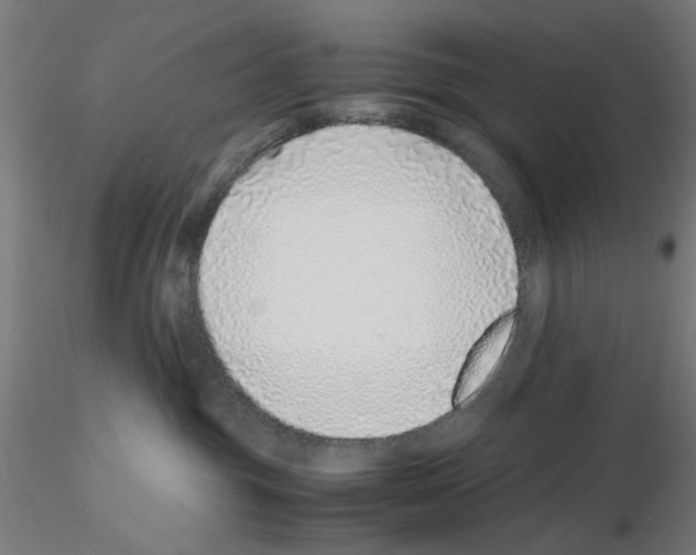 X0000115640381200912221315