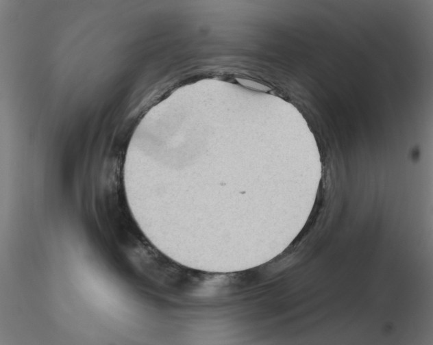 X0000115640382200912221315