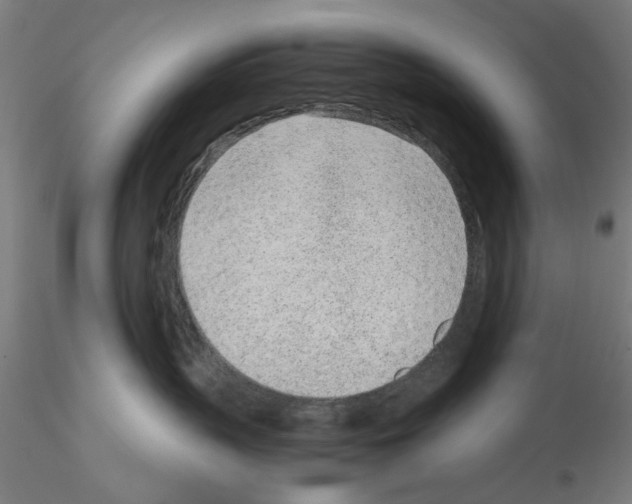 X0000115640383200912221315
