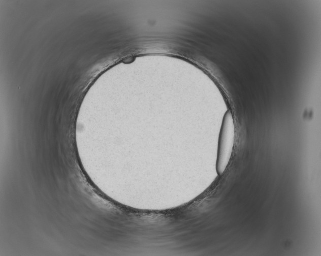 X0000115640385200912221314