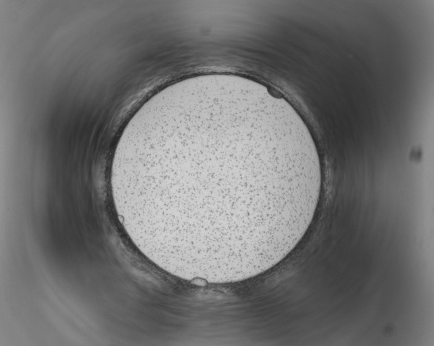 X0000115640386200912221314