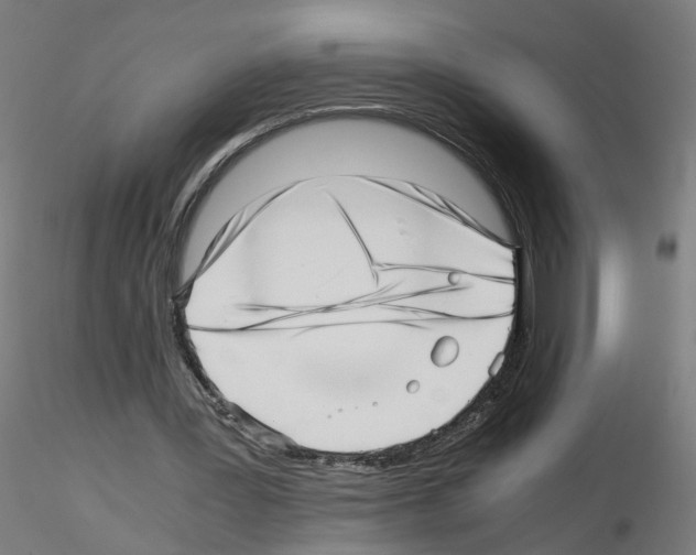 X0000115640387200912221314