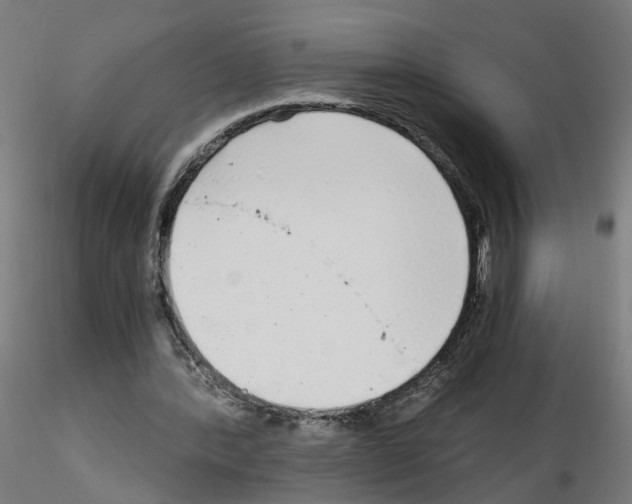 X0000115640388200912221314
