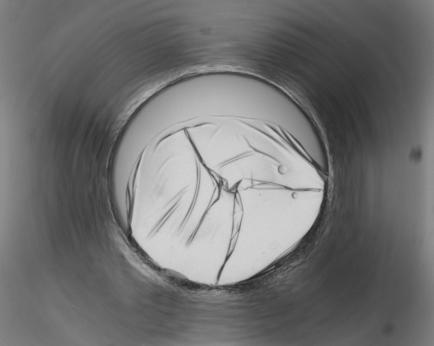 X0000115640389200912221314