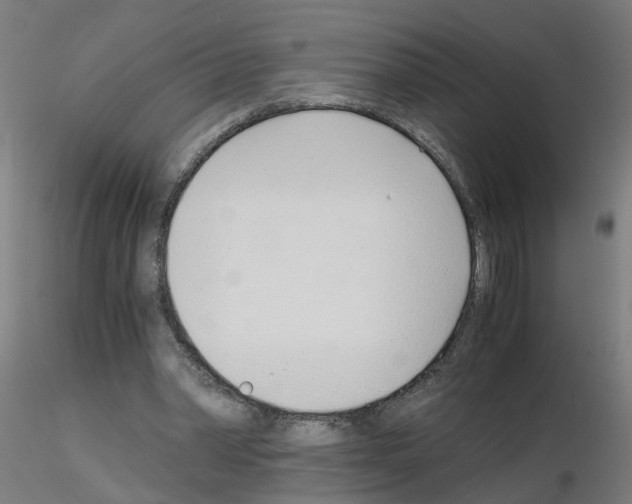 X0000115640390200912221314