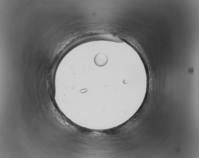 X0000115640393200912221314