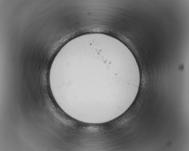 X0000115640394200912221314
