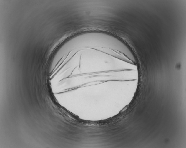 X0000115640395200912221314