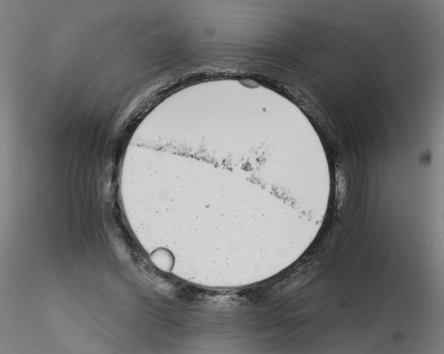X0000115640396200912221314