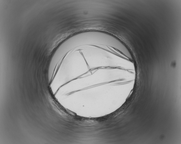 X0000115640397200912221314
