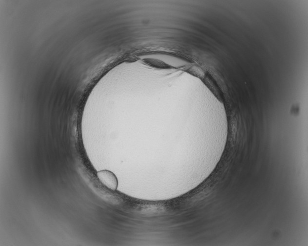 X0000115640398200912221314