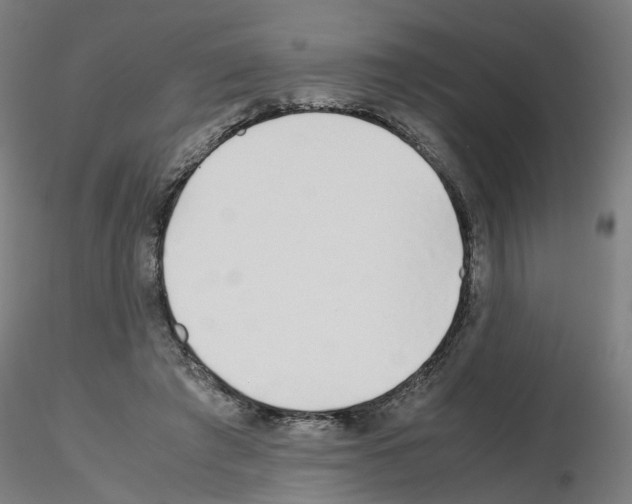 X0000115640401200912221314