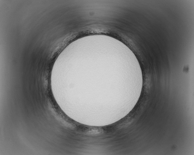 X0000115640402200912221314