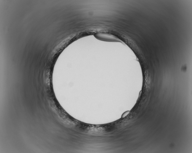 X0000115640403200912221314