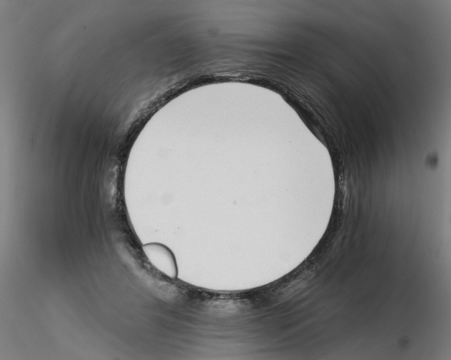 X0000115640404200912221314