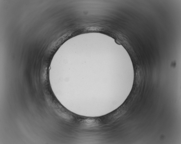 X0000115640406200912221314
