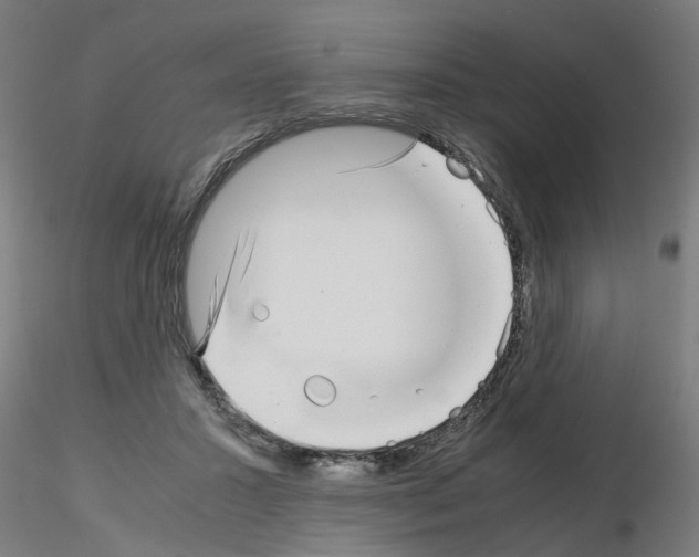 X0000115640407200912221314
