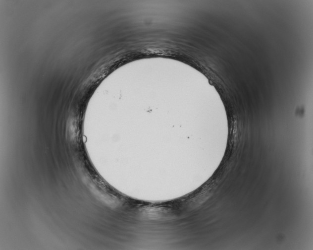 X0000115640408200912221314