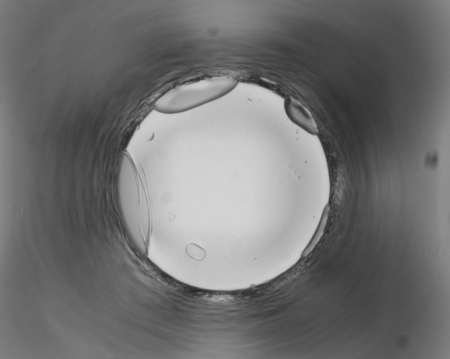 X0000115640409200912221314