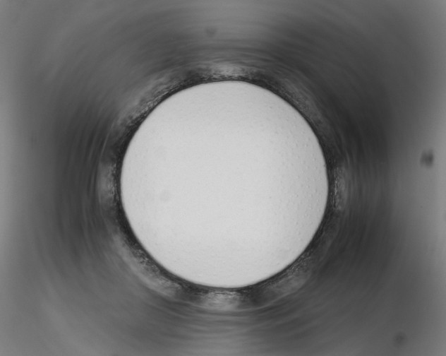 X0000115640410200912221314
