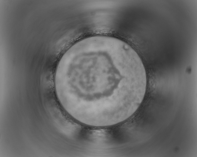X0000115640411200912221314