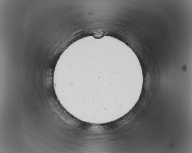 X0000115640413200912221314