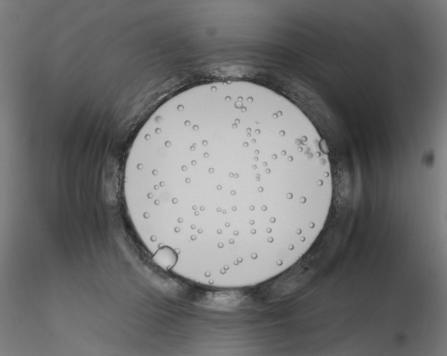 X0000115640414200912221314