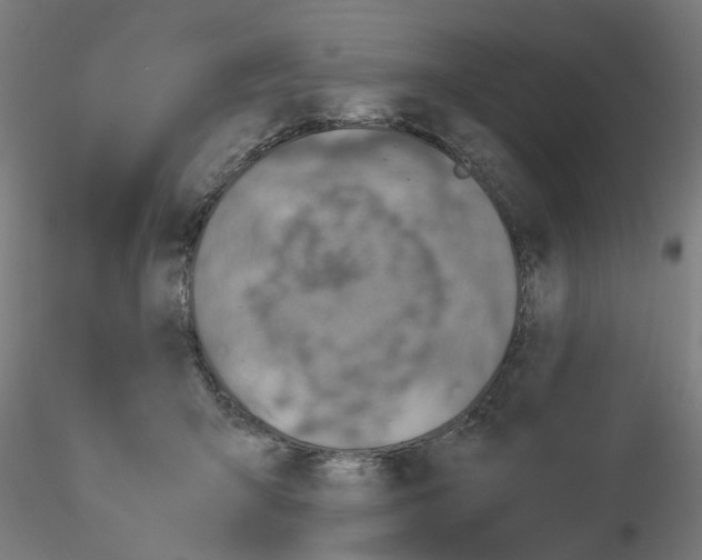 X0000115640415200912221314